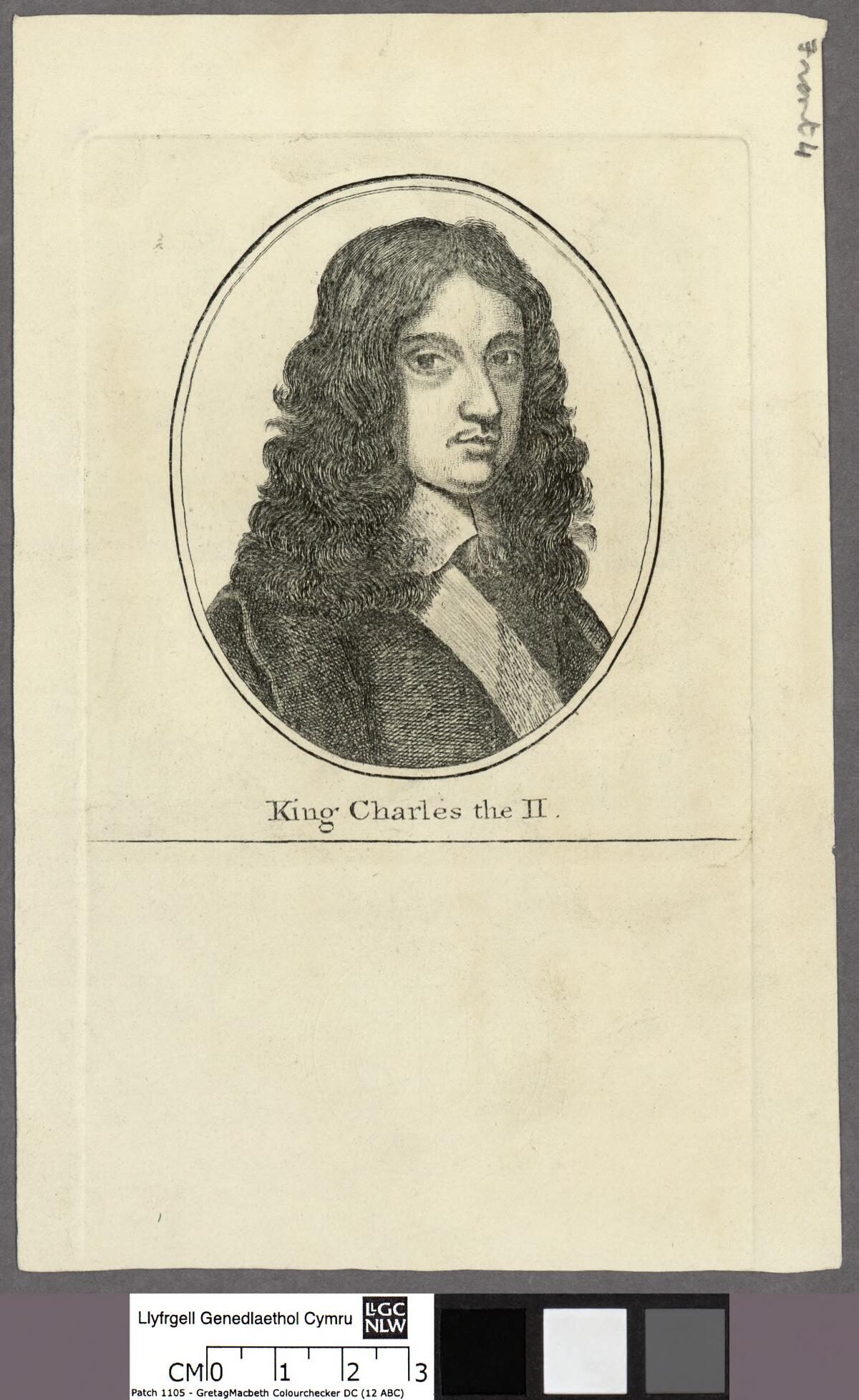 King Charles II's Pet Spaniels Attended Every Privy Council